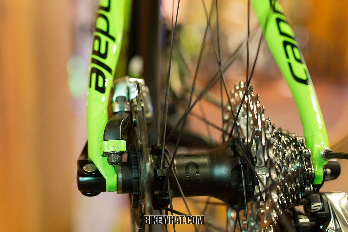 Gear_ 203_cannondale_Synapse_carbon_team_2.jpg