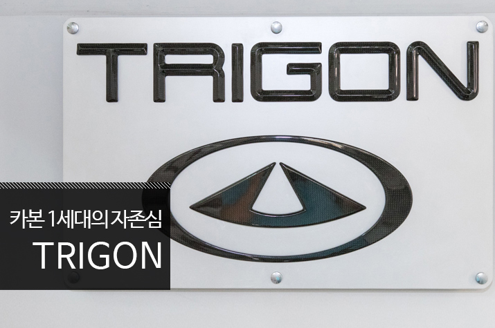 TRIGON_Intro_img.jpg