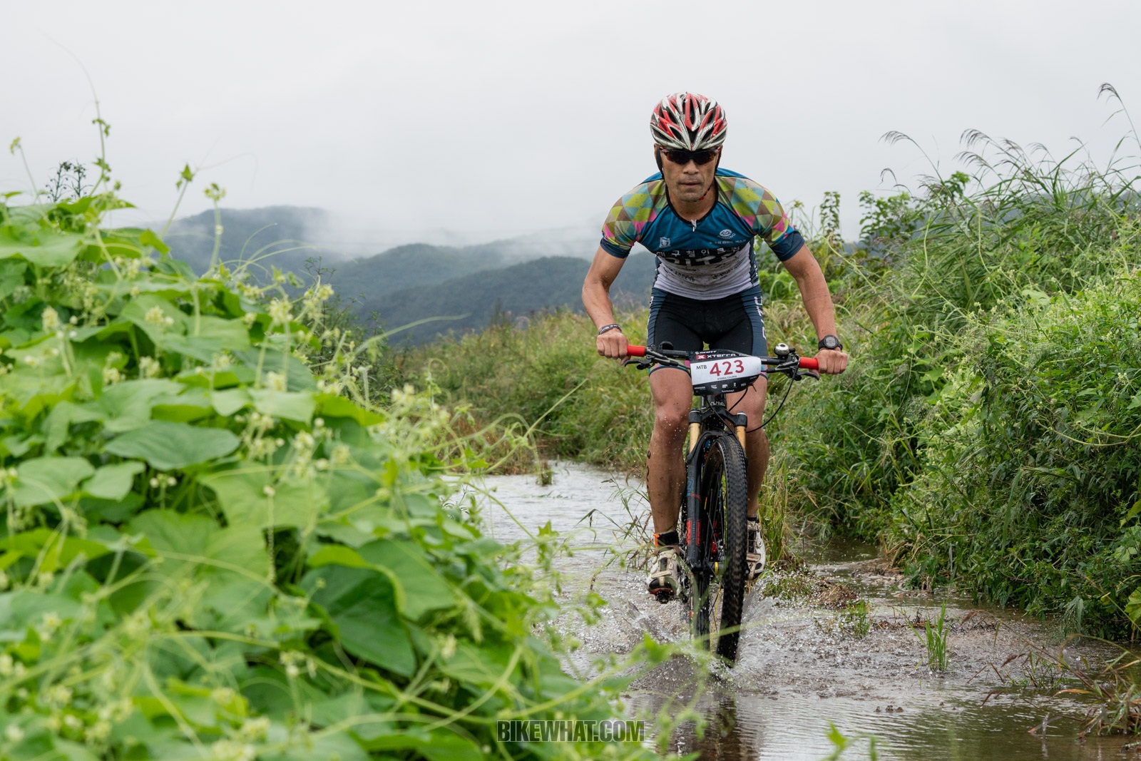 Xterra_Korea_2018_08.jpg