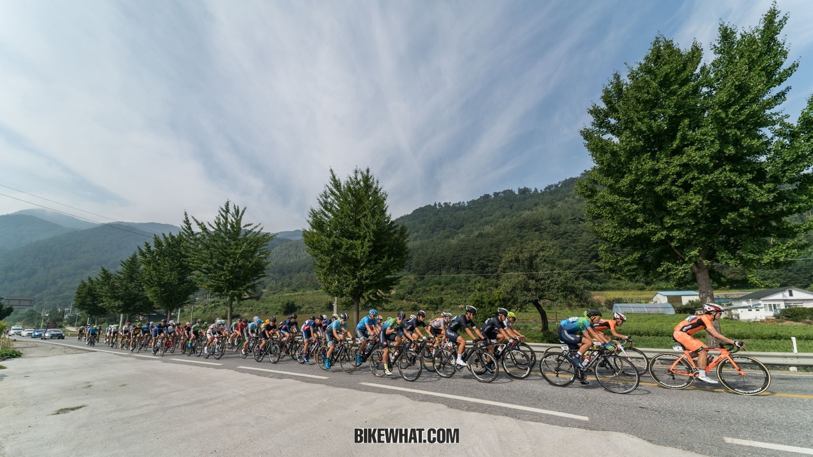 TDK2017_special2_3-1.jpg
