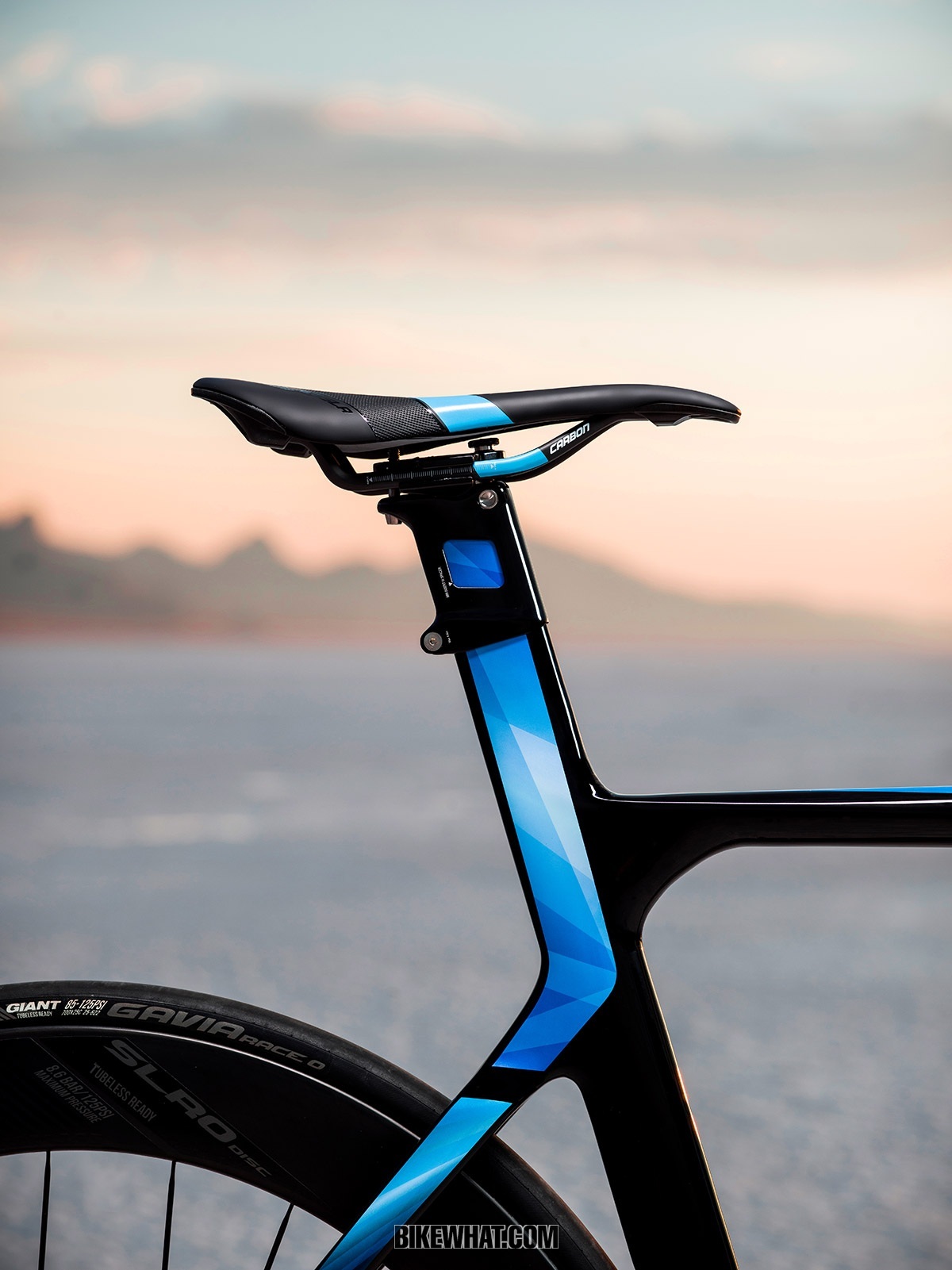 gear_Giant_Propel_disc_9.jpg