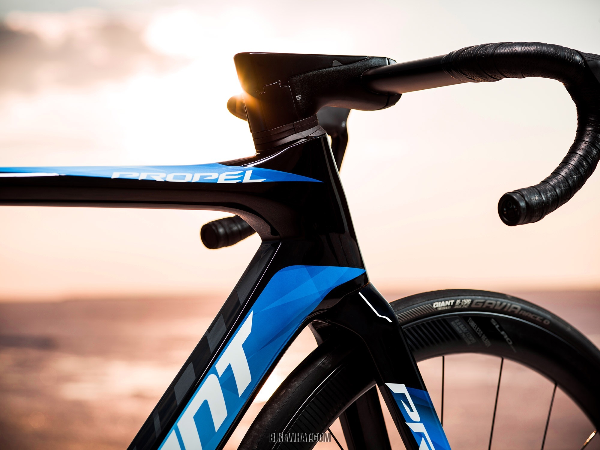 gear_Giant_Propel_disc_4.jpg