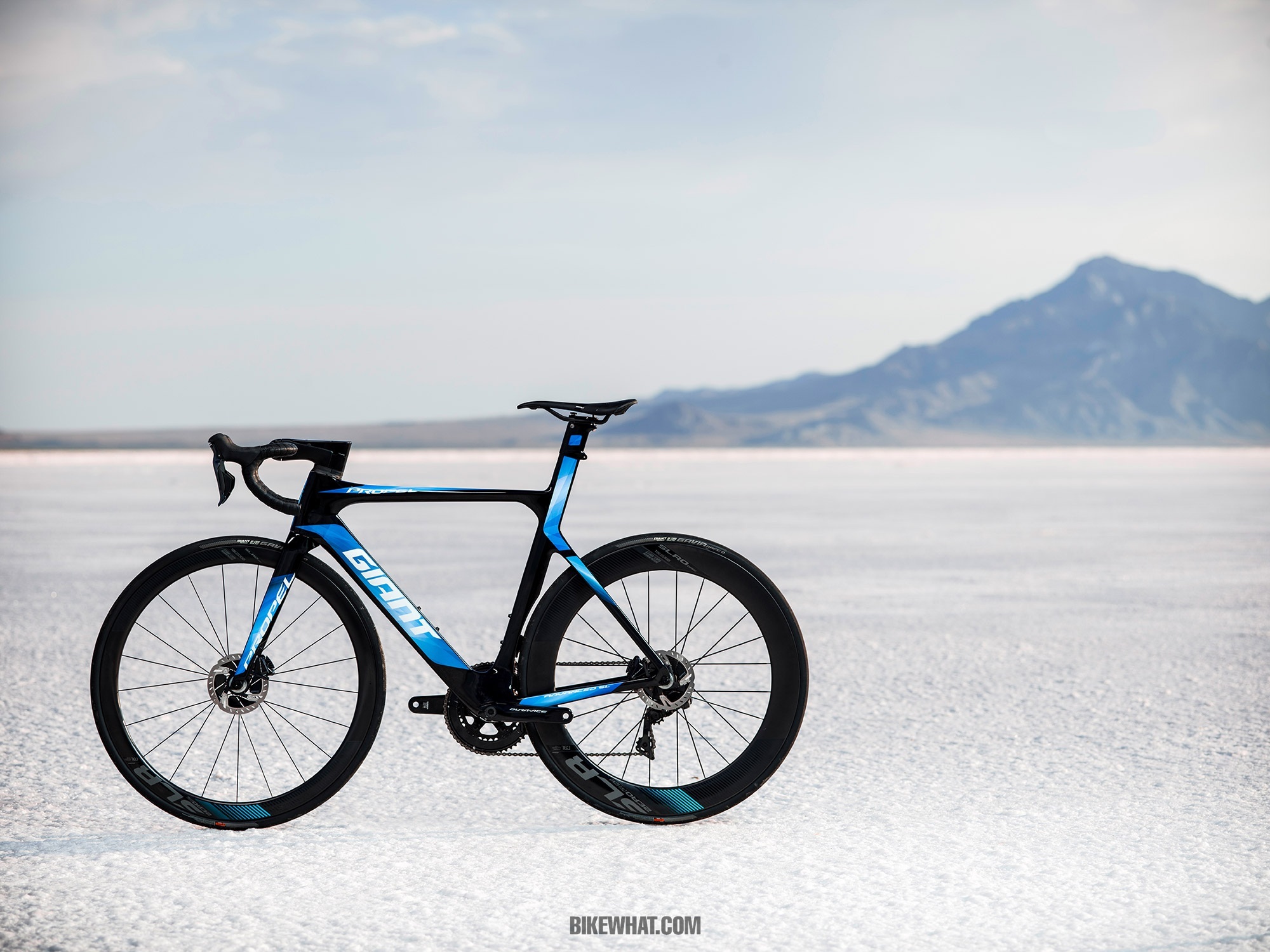 gear_Giant_Propel_disc_1.jpg