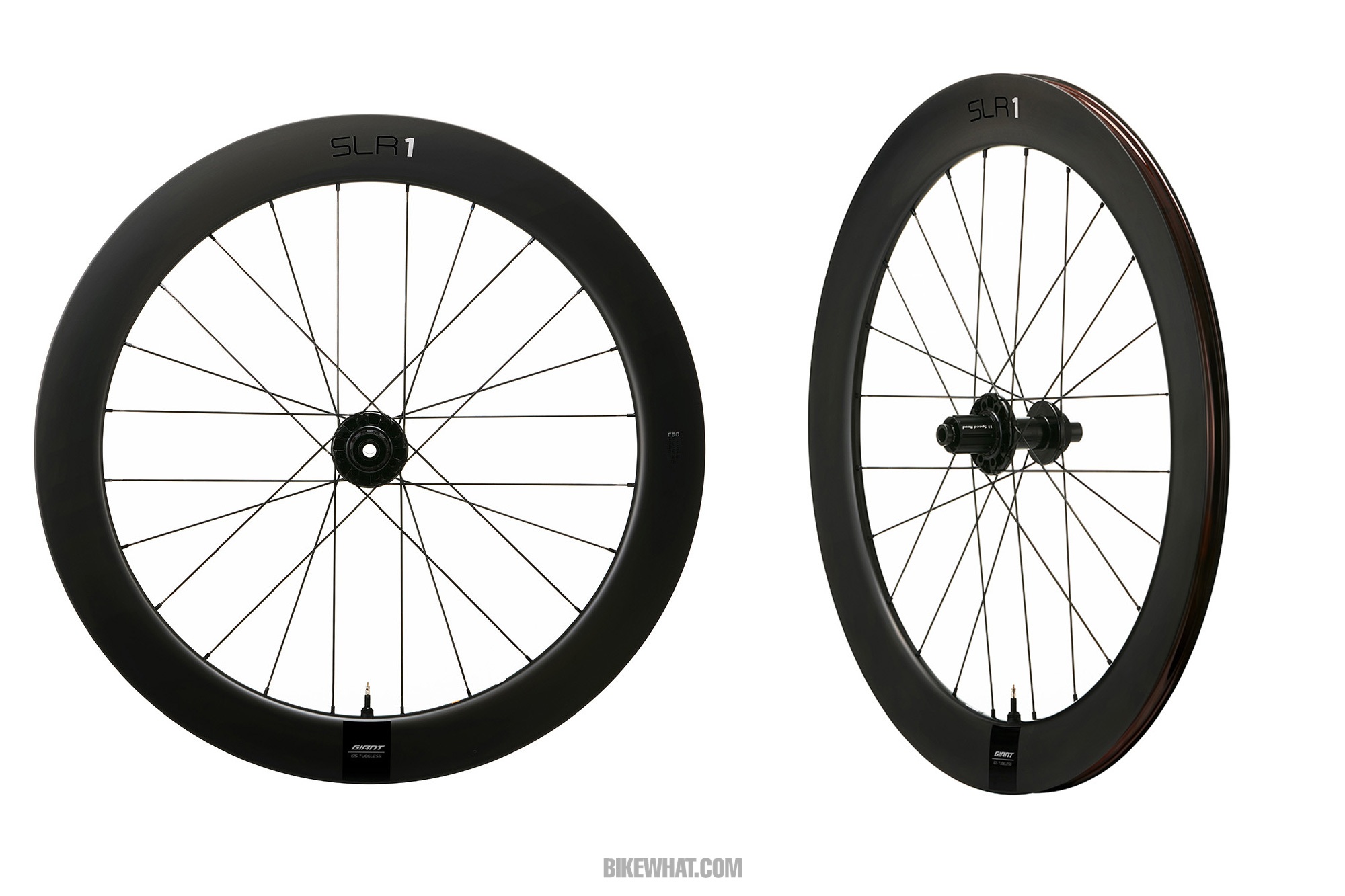 Gear_Giant_SLR_1_65_Disc_RW.jpg