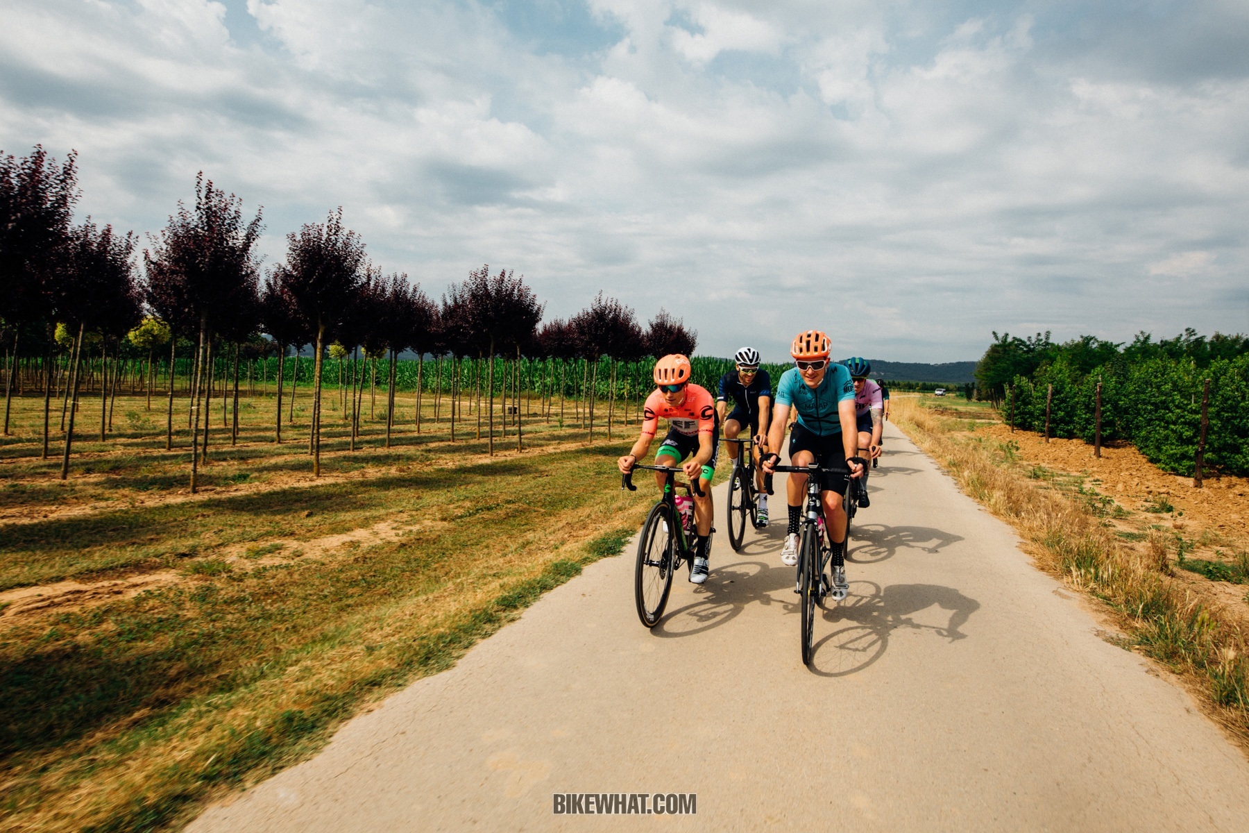 cannondale_SystemSix_6.jpg