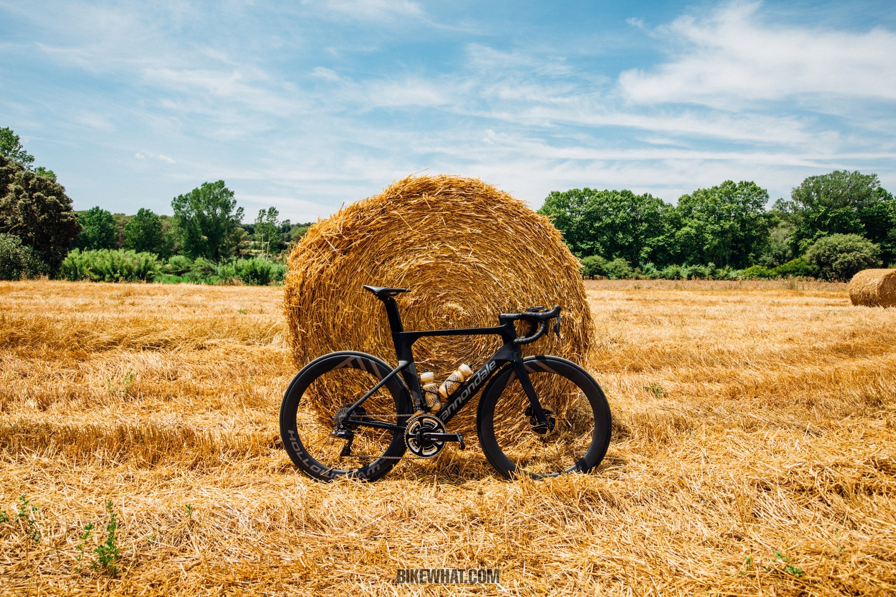 cannondale_SystemSix_17.jpg