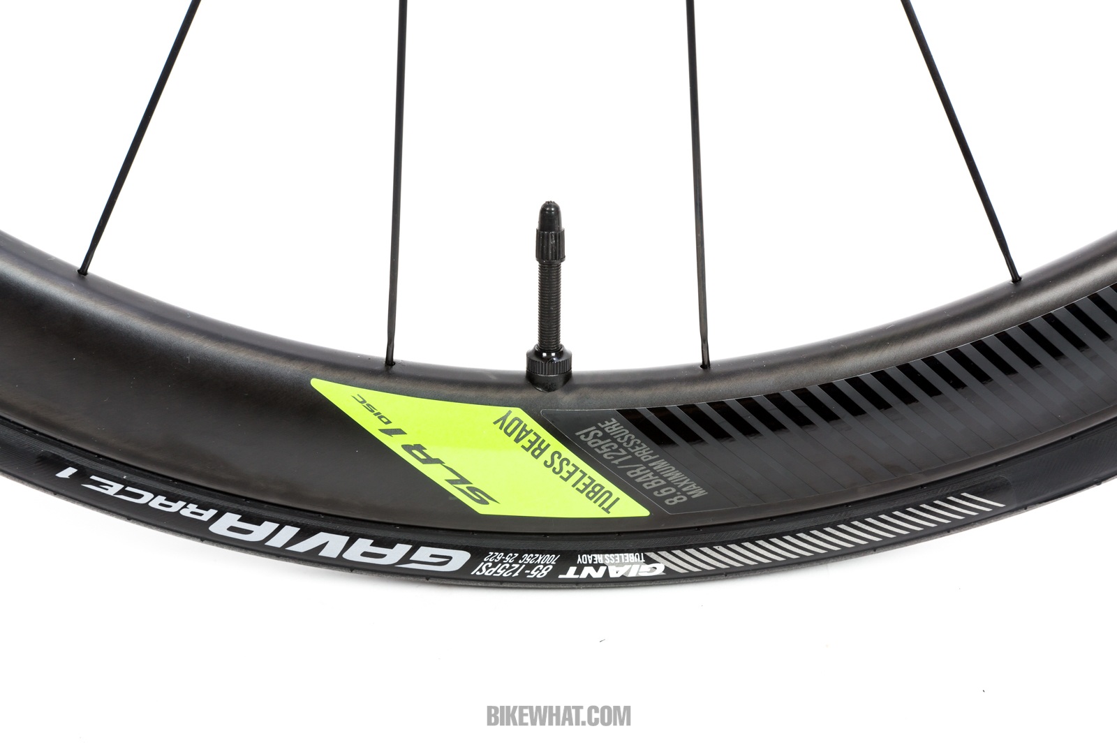 Giant_Propel_disc_19.jpg