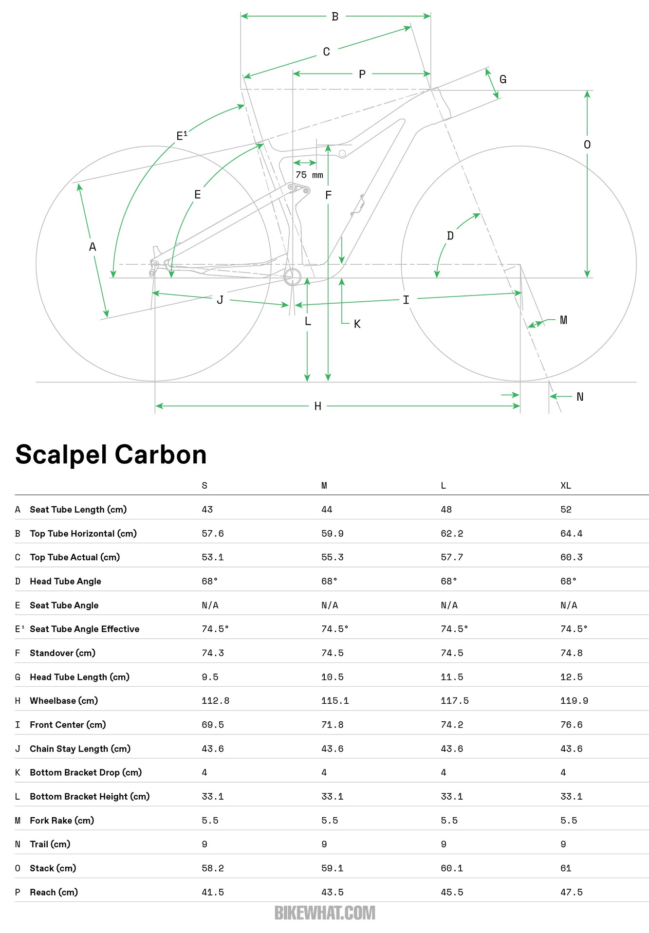 testride_Cannondale_Scalpel_geo.jpg