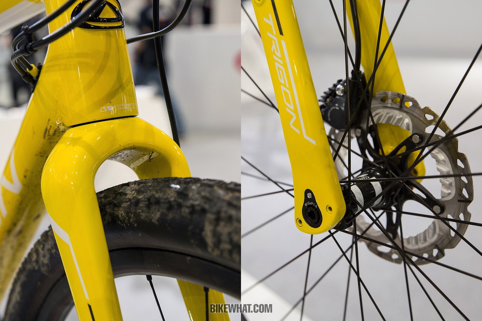 Feature_TaipeiCycle_2019_Trigon_Gv01_3.jpg