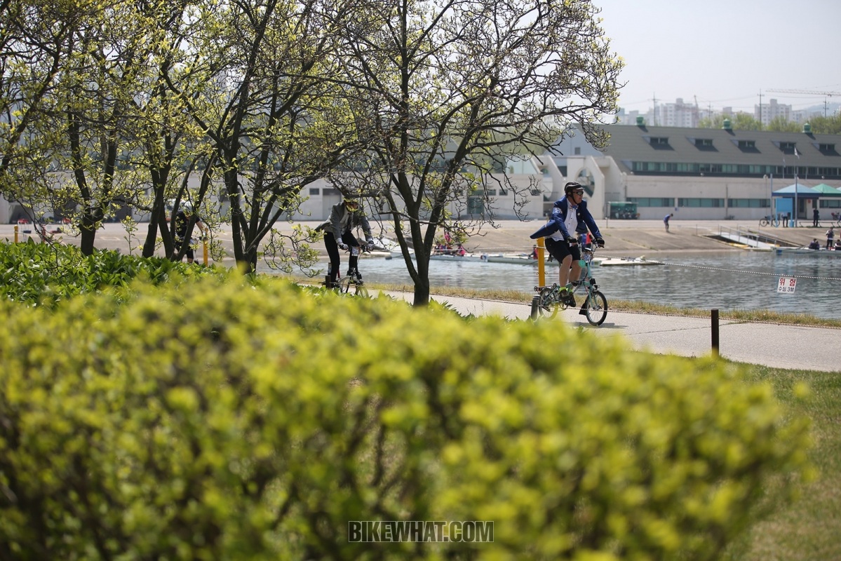 OK__0811.jpg