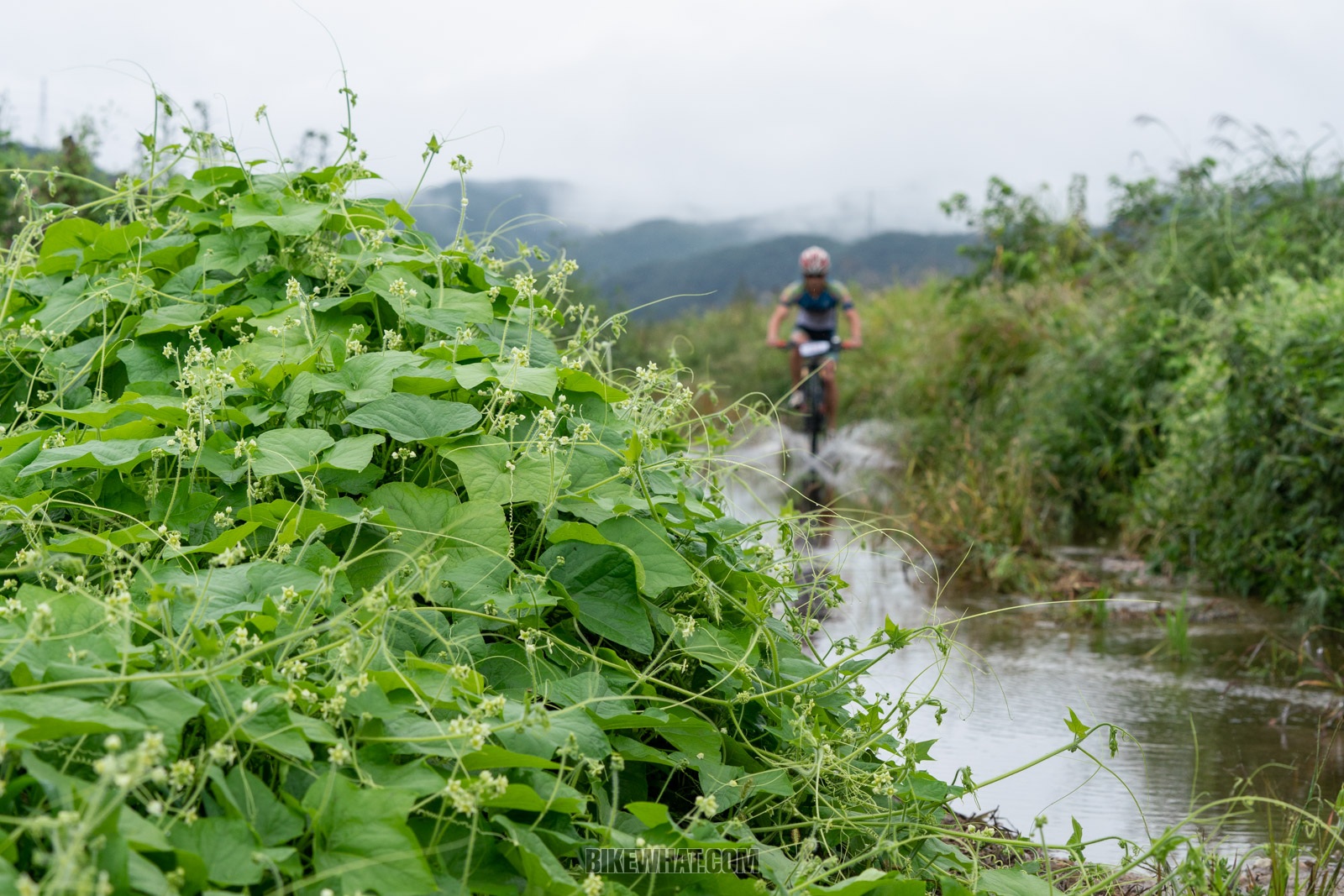 Xterra2018 (99).jpg