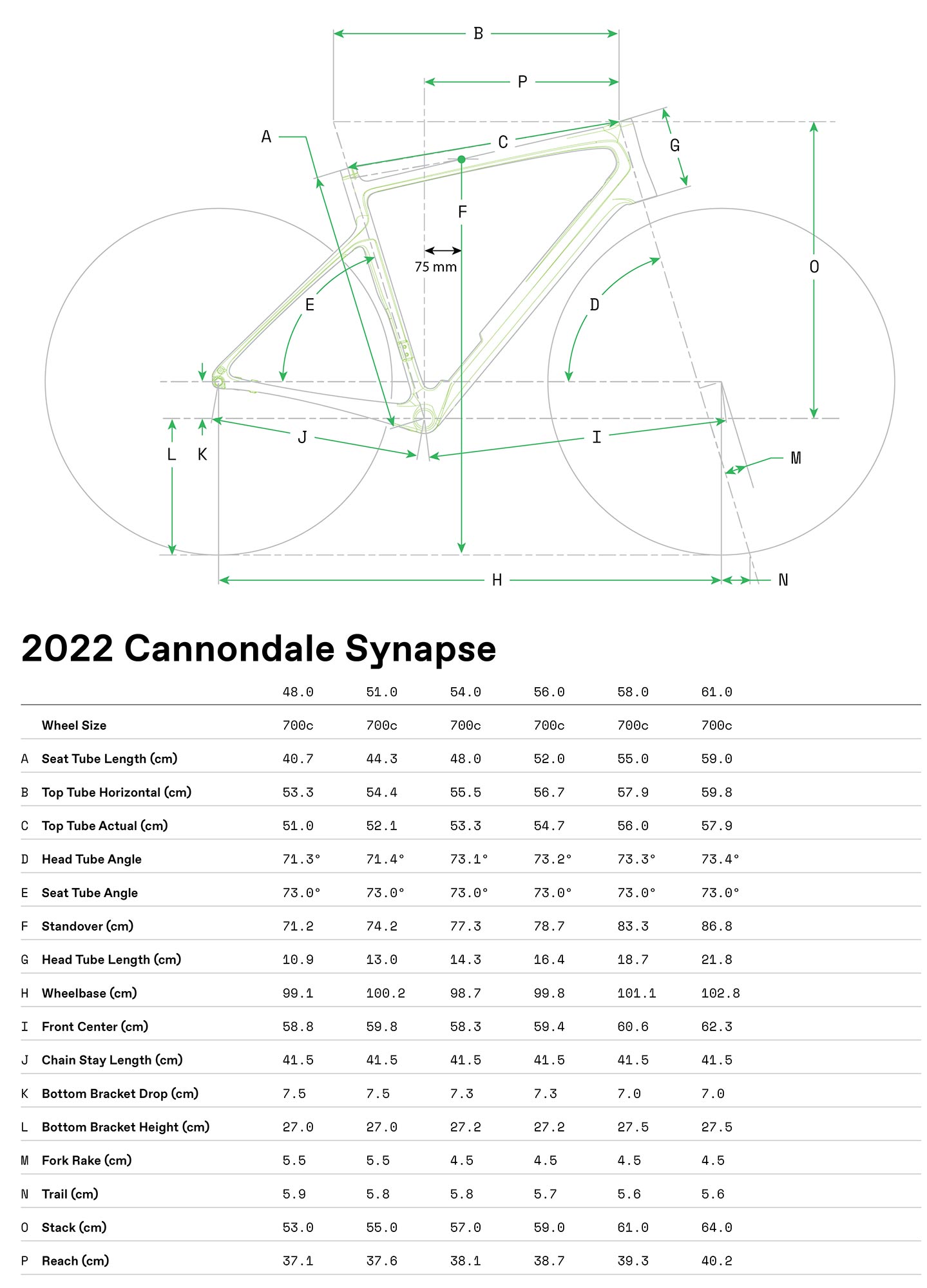 gear_Cannondale_22_Synapse_GeoTable