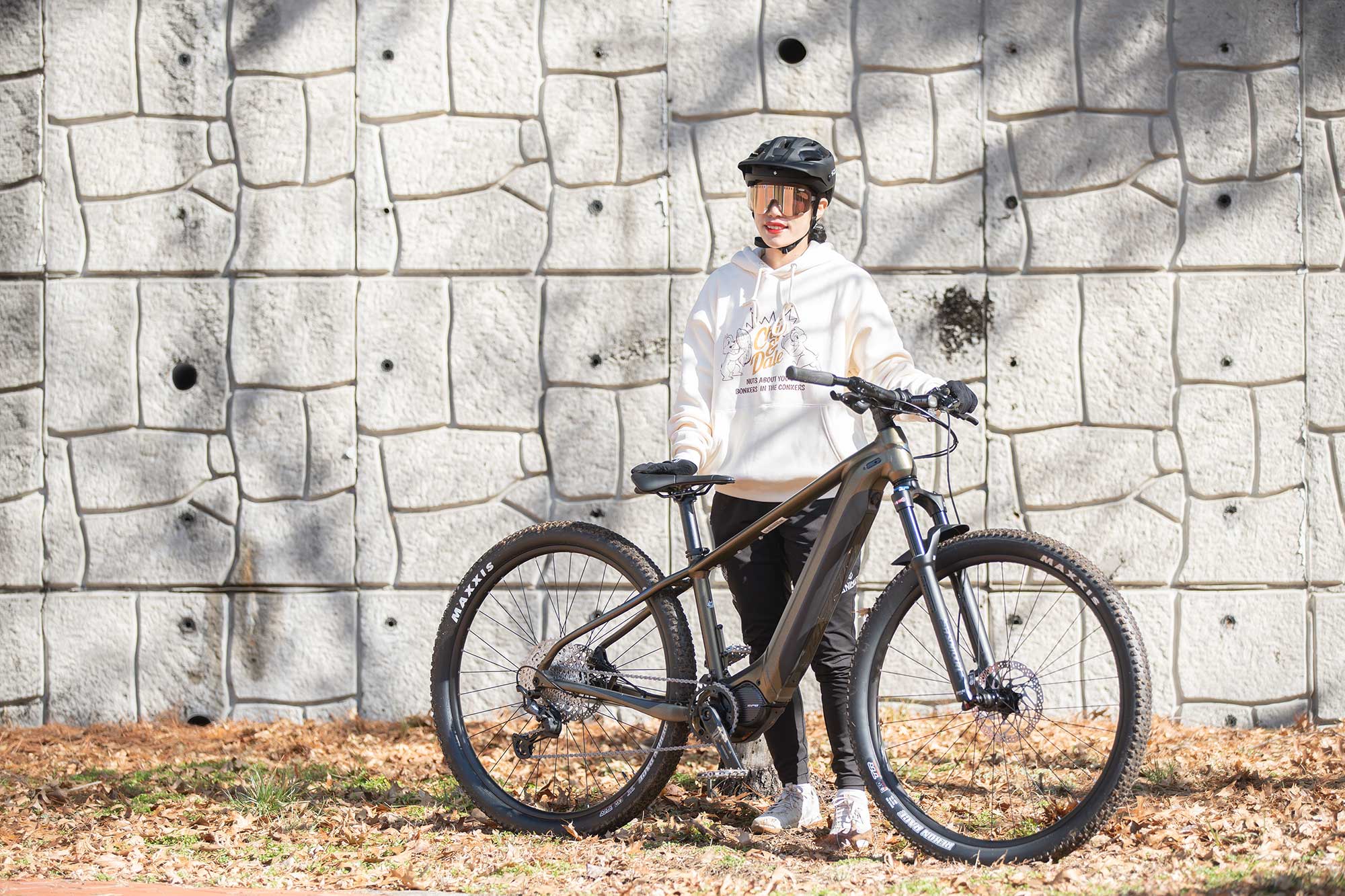 testride_Merida_eBIG_NINE_775_rd