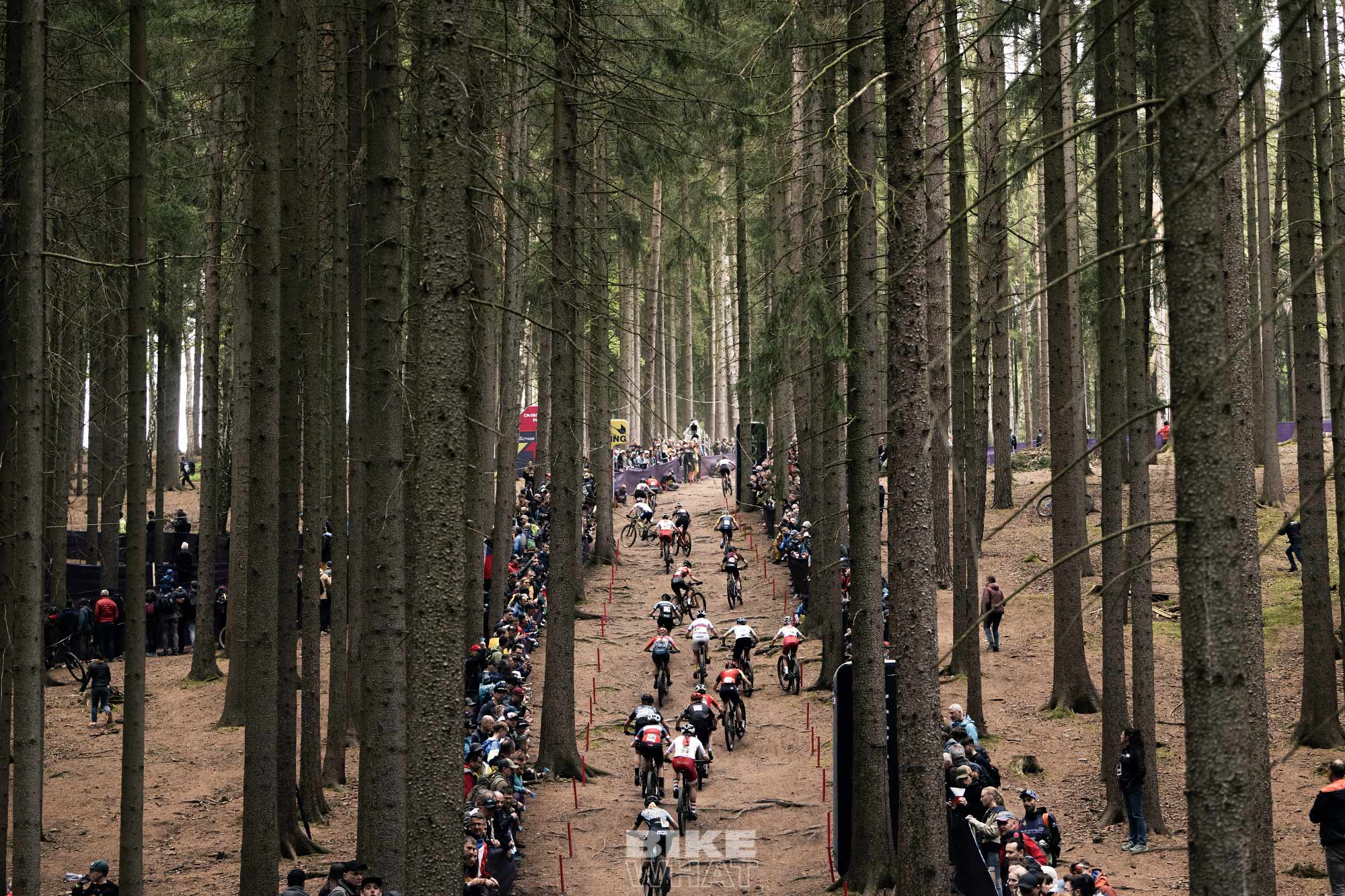 아시아 최초 산악자전거 월드컵 유치, 글로벌코리아 백운광 대표 이미지 interview_BaekWoonKwang CEO of Global Korea which hosted Asia first Mountain Bike World Cup_5